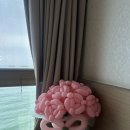 비러브드 | 제주도 웨딩스냅 풍선 업체 비러브드 벌룬 종류 가격 상담 내돈내산 강추 후기