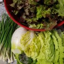 금밭 농장 이미지