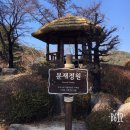 관망대가든 | 아침고요수목원(오색별빛정원전) 방문후기 ♡
