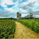 전원풍경 이미지