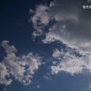 참조은홈클리닝