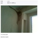 청소하다 이미지