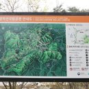 십이선녀탕캠핑장