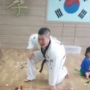 용인대동아태권도 이미지