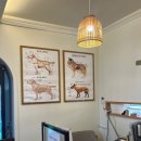 서른살나의펫2 이미지