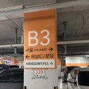 고급 헤어스파 보그헤어 신세계백화점 하남점 두피케어 후기