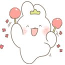 홍카센타 이미지