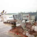 6595 | 싱가포르 항공 후기 — 인천에서 창이공항까지, 하늘 위에서 먼저 만난 싱가포르