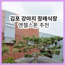 엔젤펫 | 김포 강아지 장례식장, 펫나잇 추천 엔젤스톤 소개
