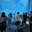 가족나들이 이미지