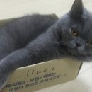 중미산자연휴양림 이미지