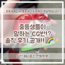 캐릭터 일러스트(A반) | 일산만화학원 애니포스 | 중등생들이 말하는 CG반!! 중등 수업의 모든 것 공개!!