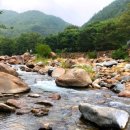 지리산자연애펜션 이미지