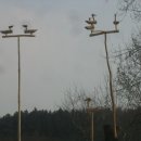 재박이네 이미지