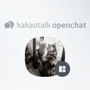 주) 인스타짐 이미지