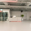 언더독 복싱 이미지