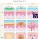 바하약국 이미지