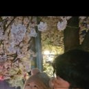 남원댁 이미지