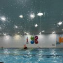 키즈앤맘 어린이전용수영장 이미지