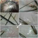 오땡큐머리염색 네이버블로그