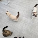 태동농장 | [임신 27-30주] 이른 만삭 촬영, 미리 해보는 전원생활, 출산 날짜 확정, 대학병원 차트