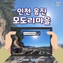 모도리어촌체험휴양마을 티스토리