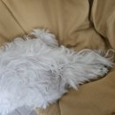 서라벌요양병원 | 대학교 3학년 여름방학 사랑둥이 생활 ·̩͙꒰ঌ( " ॑ ॑")𐭅ᰔᩚ