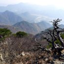 *출발확정* [울산안내산악회] 11월30일(일) 보은 구병산 블랙야크 100대명산 이미지