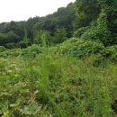 남한산성면-3 이미지
