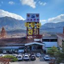 토종흙돼지 이미지