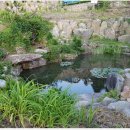 핀란드 작은마을 이미지