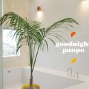 굿나잇 판포 이미지