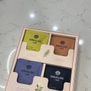 에코포레스트 평창 | 9월 평창 힐링여행 (2)