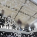 크레이지케이 | 푸꾸옥 크레이지 호핑투어 시간 준비물 픽업 투어 후기