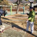 개팔자 상팔자 이미지