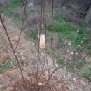 (주)힐스톤 이미지