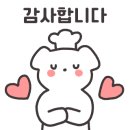 제누아즈홈베이킹
