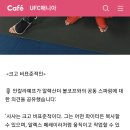 안칼 스파링파트너 볼토프 잘 구한듯 이미지