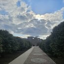 송림농장 | 제주 동백꽃 감상은 '삼달리 꽃밭에서' 수목원 카페