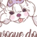 예쁨중DOG 이미지