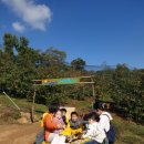 쾌청농장 이미지