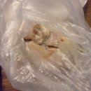 하이텔모텔 이미지