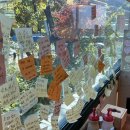 대가흑염소 이미지