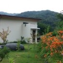 빌라 포지타노 이미지