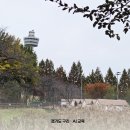 시즌아이PC방 별내점 | 구리 토평 가족캠핑장 A2 이지캠핑 가을 단풍 시즌 마지막 후기