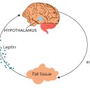 블랙멀티짐(서울대점) 이미지
