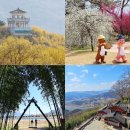 봉우공원 | 전남 구례 가볼만한곳 축제 3월 꽃구경 명소