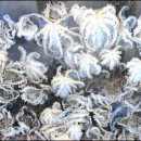 대천수산 이미지