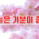 기분이좋아