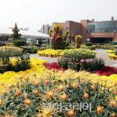 아리울오케스트라 공연 이미지